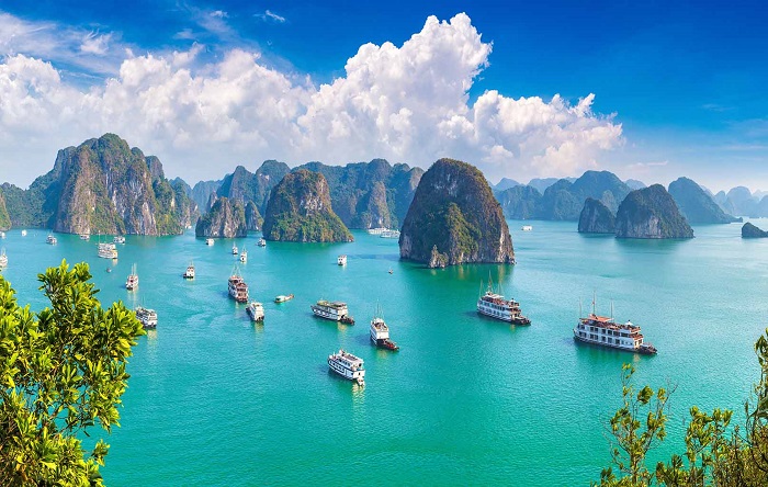 du lịch hạ long 2 ngày 1 đêm - Hình 4