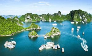 du lịch hải phòng 1 ngày
