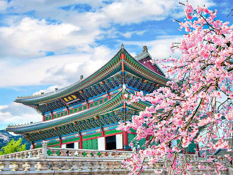 du lịch hàn quốc giá rẻ - Hình 4