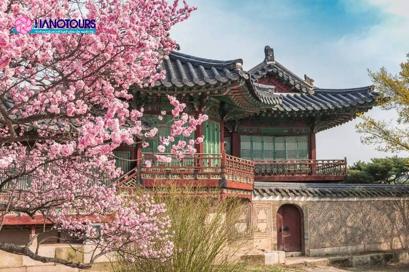 du lịch hàn quốc mùa nào đẹp - Hình 1