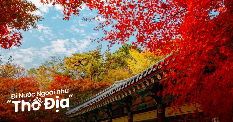 du lịch hàn quốc tháng 11 - Hình 1