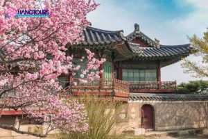 du lịch hàn quốc tháng nào đẹp