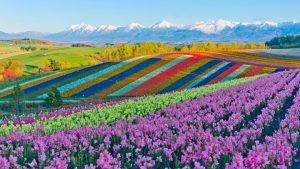 du lịch hokkaido