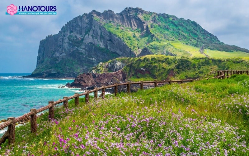 du lịch jeju - Hình 4