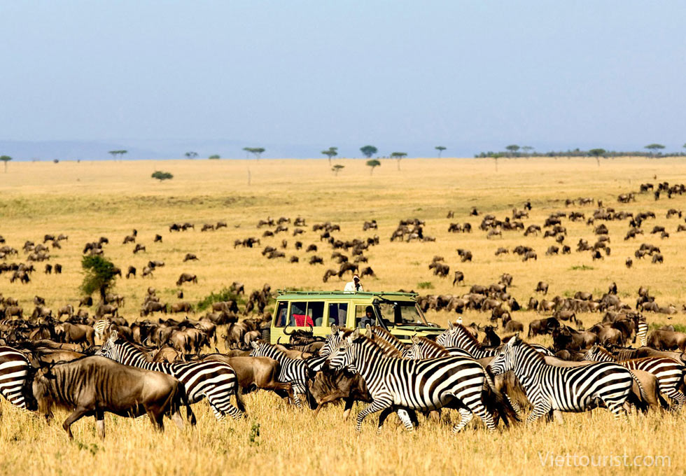 du lịch kenya - Hình 1