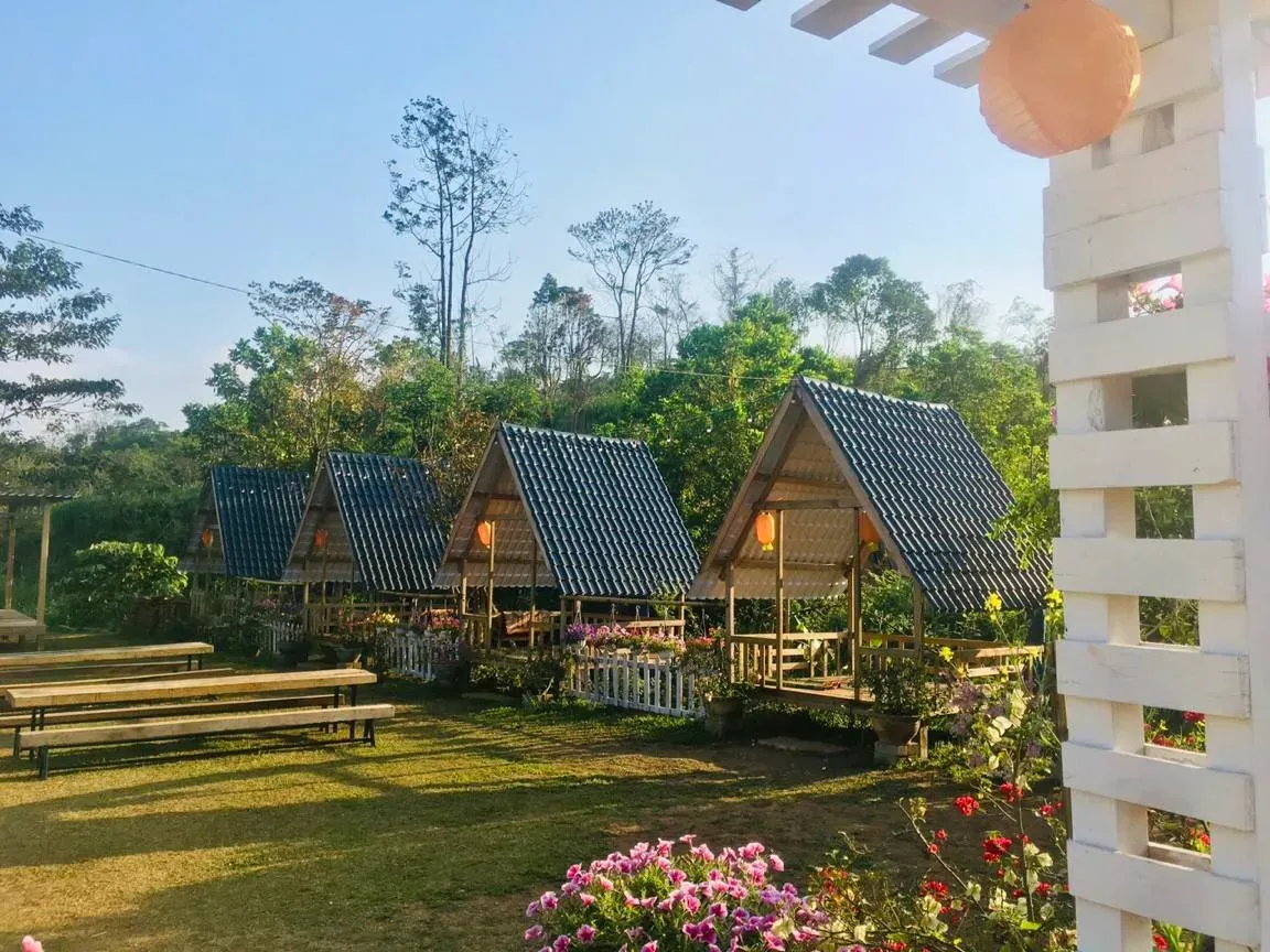 du lịch khe sanh - Hình 3