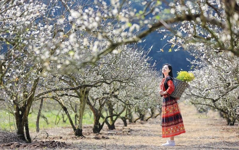du lịch lai châu mùa nào đẹp nhất - Hình 1