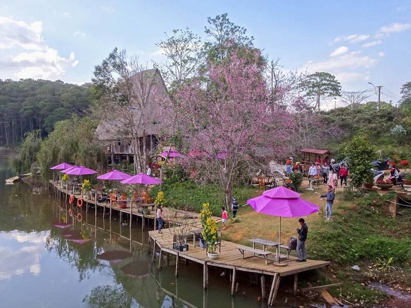 du lịch măng đen có gì - Hình 5