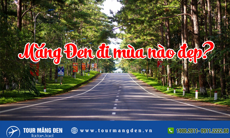 du lịch măng đen mùa nào đẹp - Hình 2