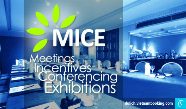 du lịch mice - Hình 5