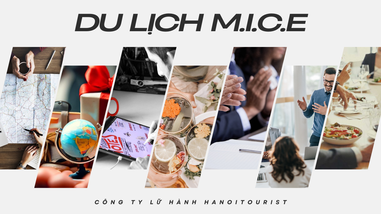 du lịch mice là - Hình 4