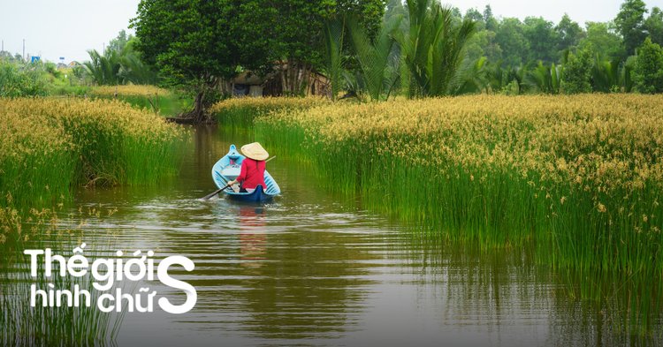 du lịch miền tây sông nước - Hình 4