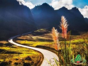 du lịch mộc châu 3 ngày 2 đêm