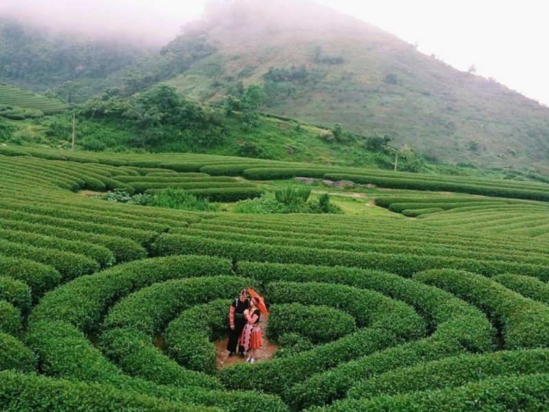 du lịch mộc châu 3 ngày 2 đêm - Hình 4