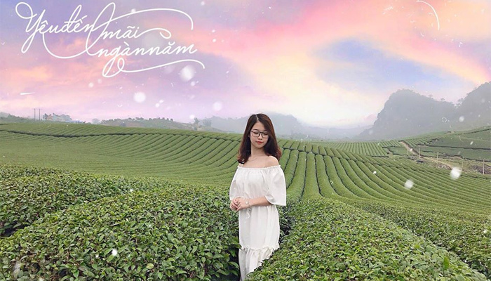 du lịch mộc châu 3 ngày 2 đêm - Hình 5