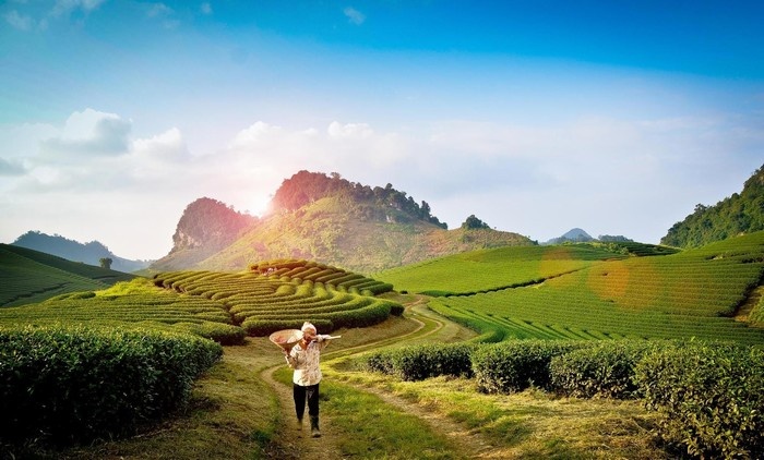 du lịch mộc châu mùa nào đẹp - Hình 3