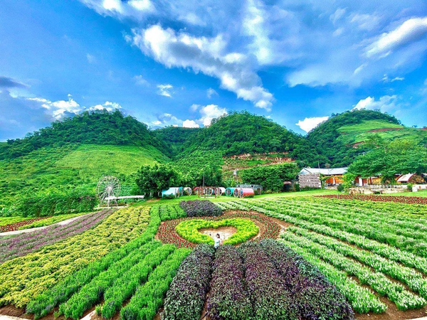 du lịch mộc châu mùa nào đẹp - Hình 5