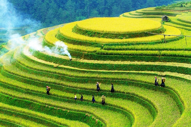 du lịch mù cang chải - Hình 3