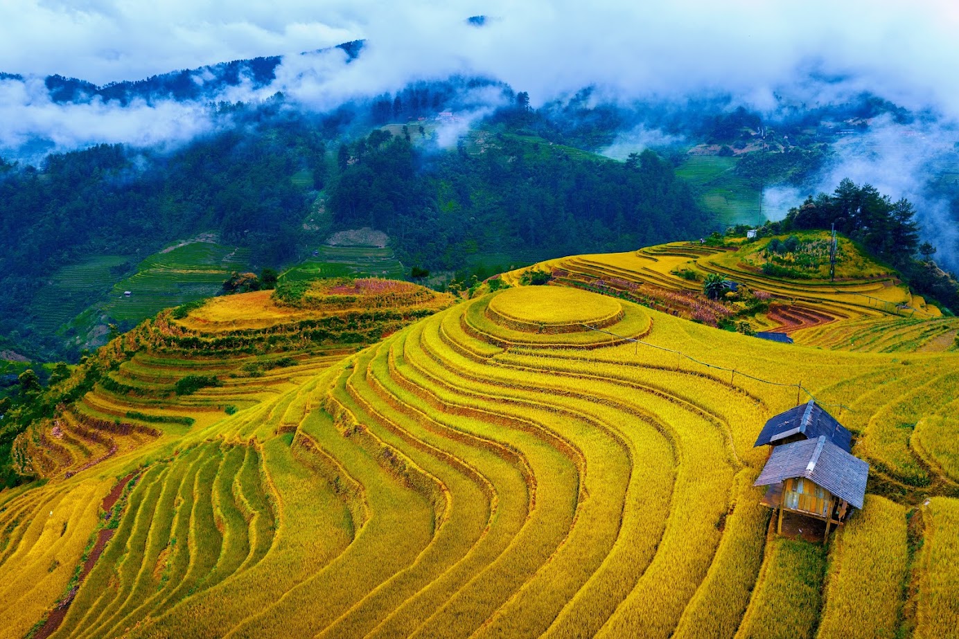 du lịch mù cang chải - Hình 5