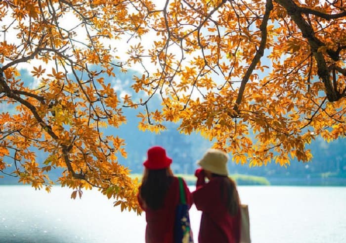 du lịch mùa thu - Hình 2