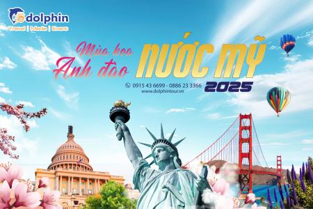 du lịch mỹ dolphin tour - Hình 3