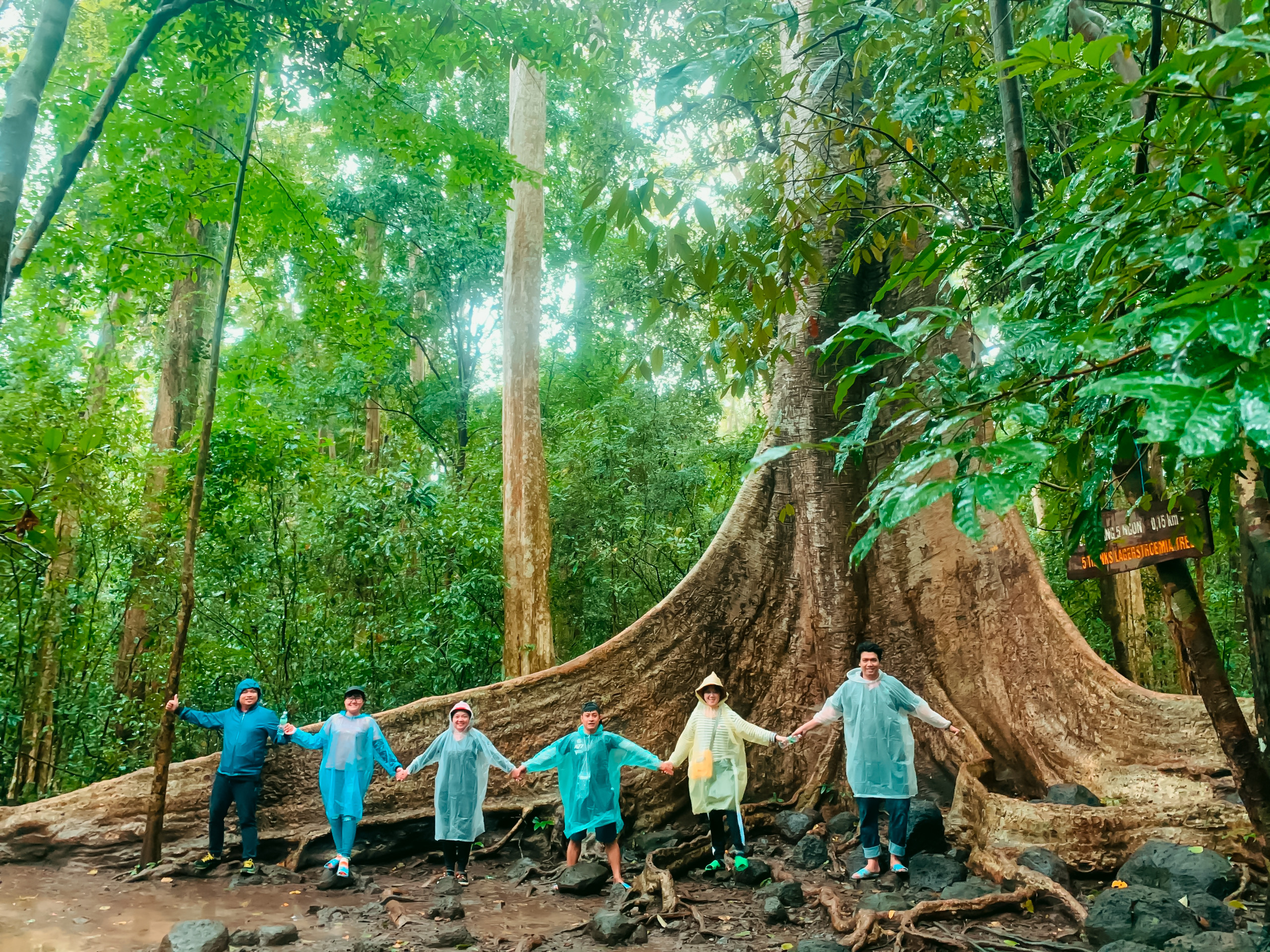 du lịch nam cát tiên - Hình 1