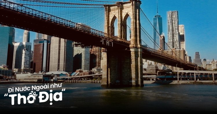 du lịch new york - Hình 1