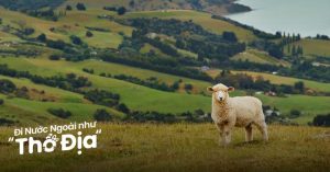 du lịch new zealand