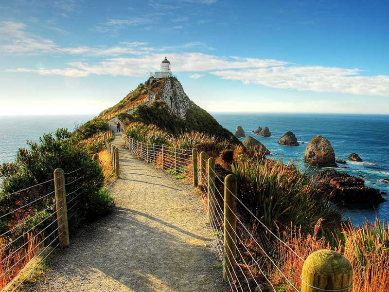 du lịch new zealand mùa nào đẹp nhất - Hình 4