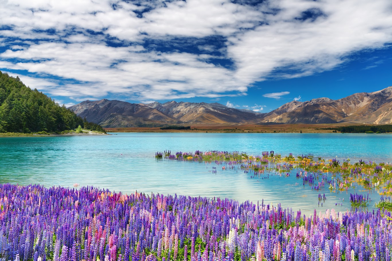du lịch new zealand mùa nào đẹp nhất - Hình 5