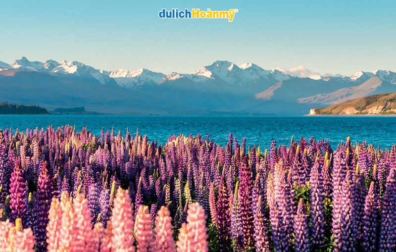 du lịch new zealand mùa nào đẹp nhất - Hình 1