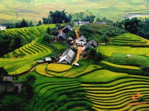 du lịch nghĩa lộ