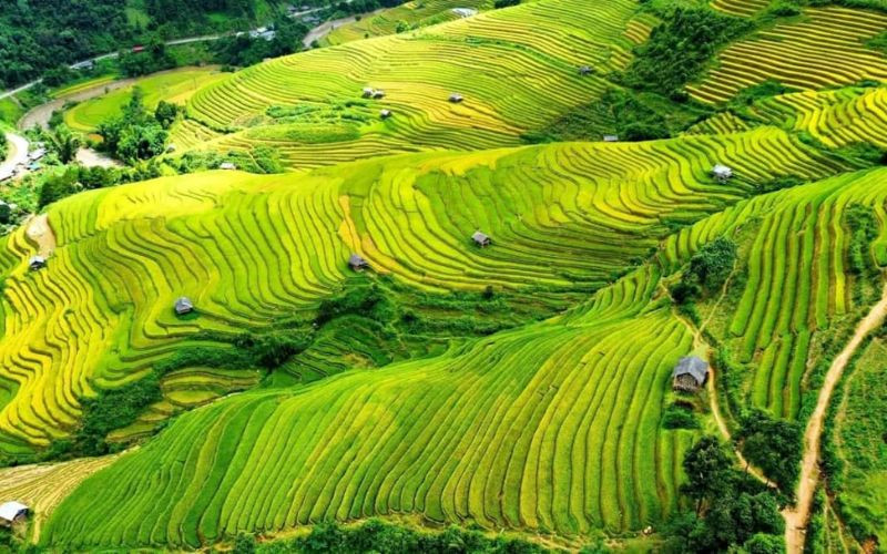 du lịch nghĩa lộ - Hình 4