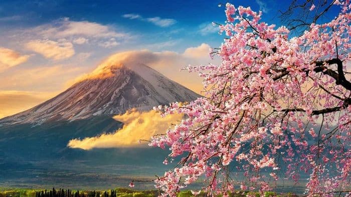 du lịch nhật bản tự túc chi phí - Hình 3
