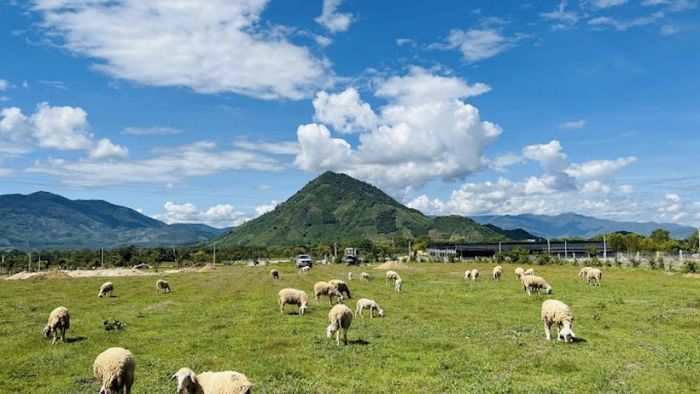 du lịch ninh sơn ninh thuận - Hình 4