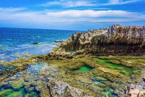 du lịch ninh thuận 3 ngày 2 đêm