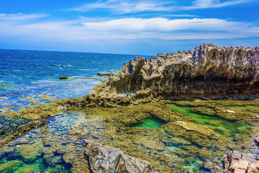 du lịch ninh thuận 3 ngày 2 đêm tự túc - Hình 5
