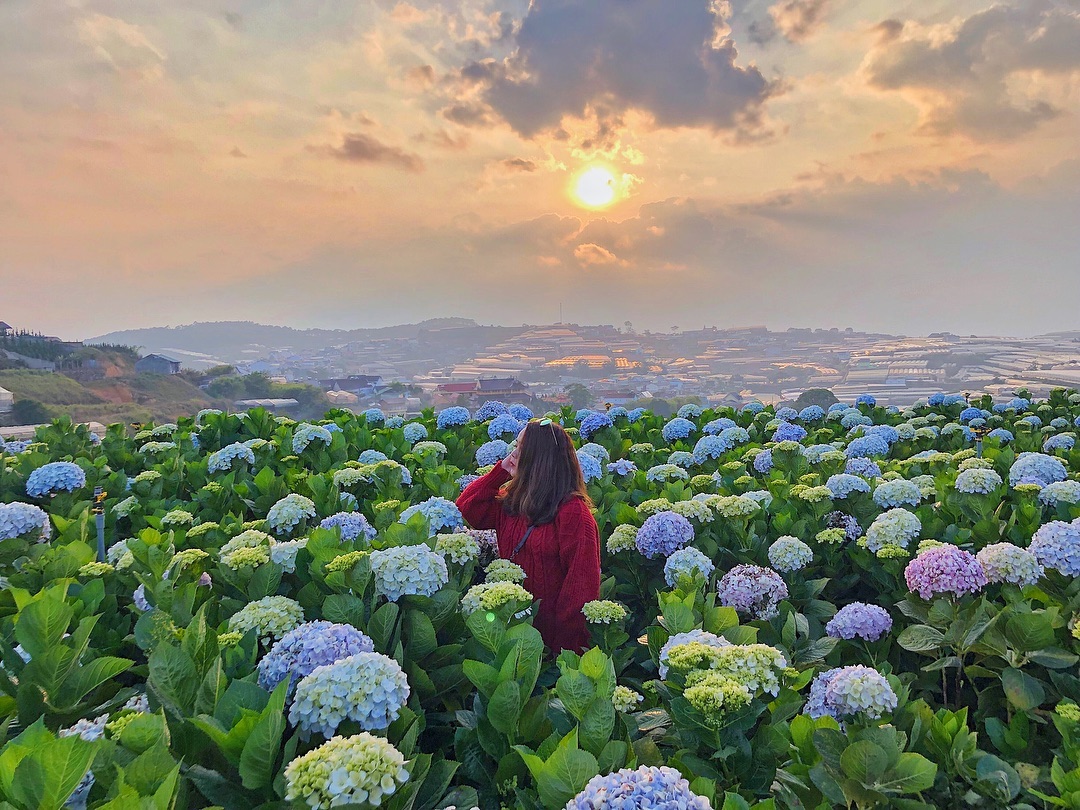 du lịch ninh thuận đà lạt - Hình 5
