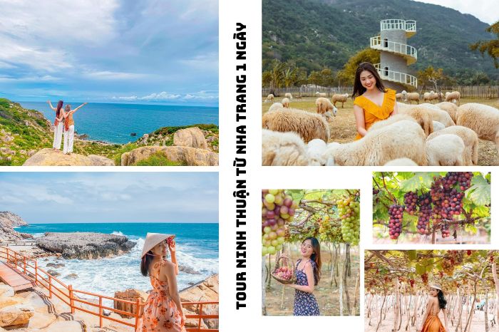 du lịch ninh thuận từ nha trang - Hình 4