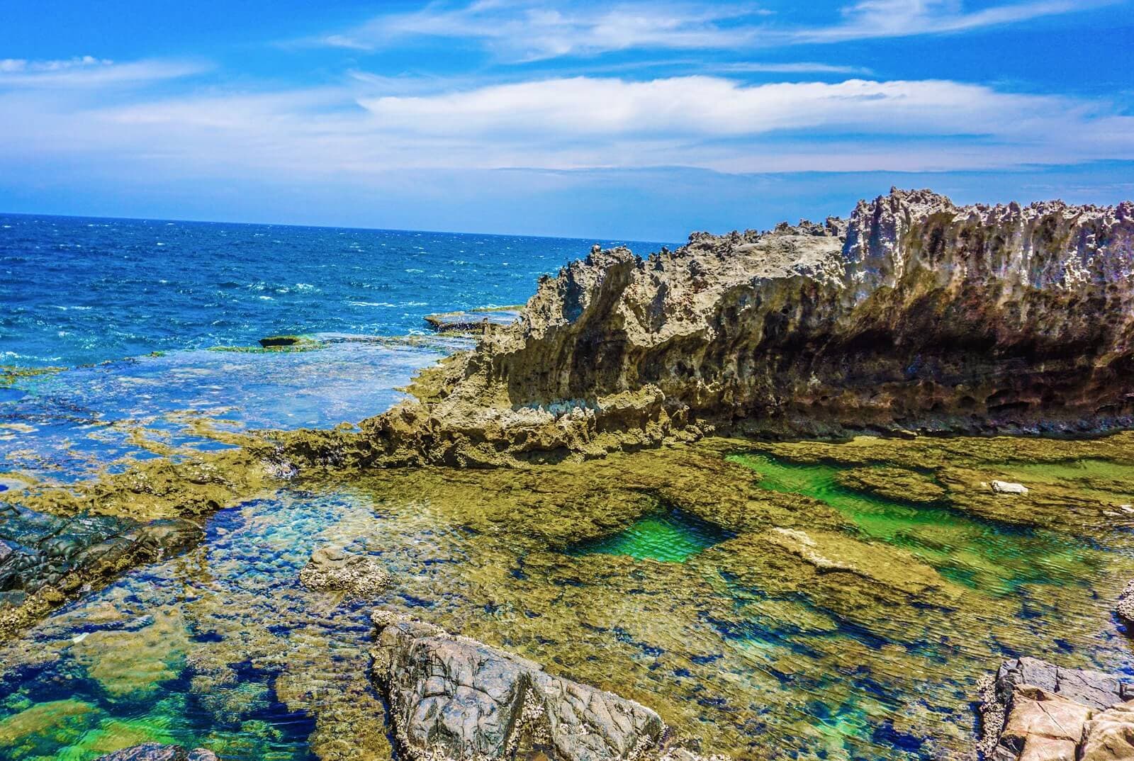 du lịch ninh thuận từ sài gòn - Hình 5