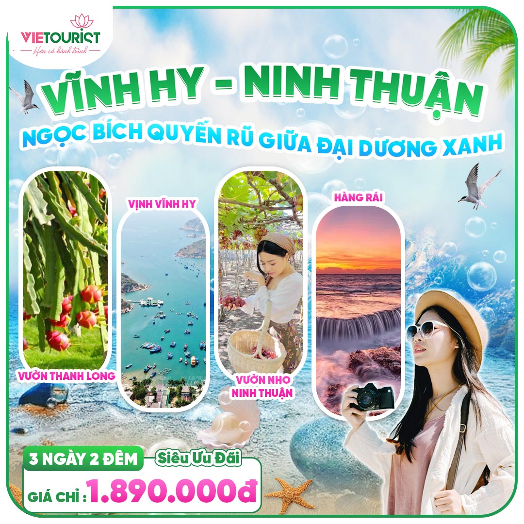 du lịch ninh thuận tuor - Hình 2