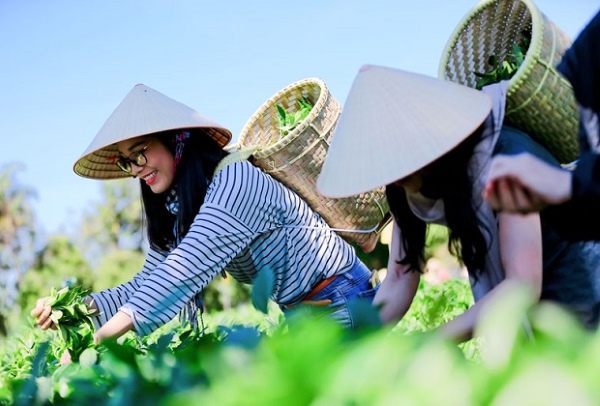 du lịch nông nghiệp - Hình 2