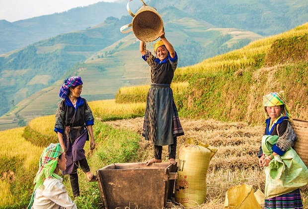 du lịch nông nghiệp - Hình 3