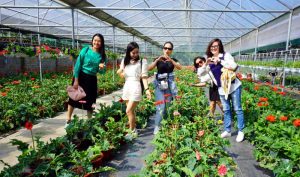 du lịch nông nghiệp