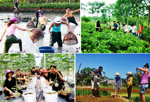 du lịch nông thôn - Hình 4