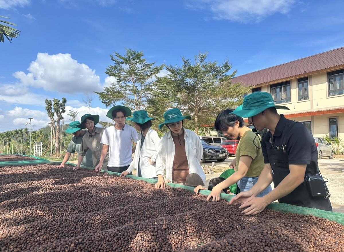 du lịch nông trại đắk lắk - Hình 4