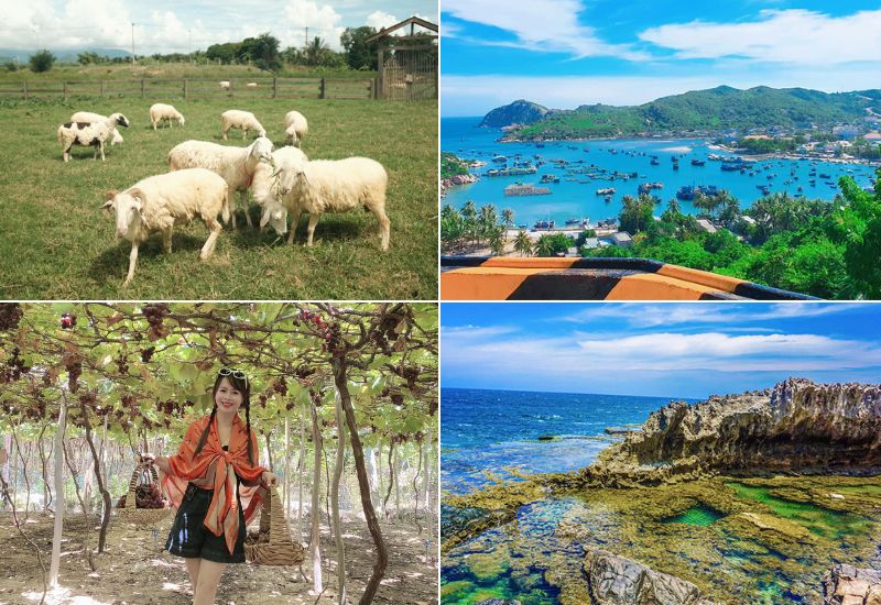du lịch phan rang 3 ngày 2 đêm - Hình 4