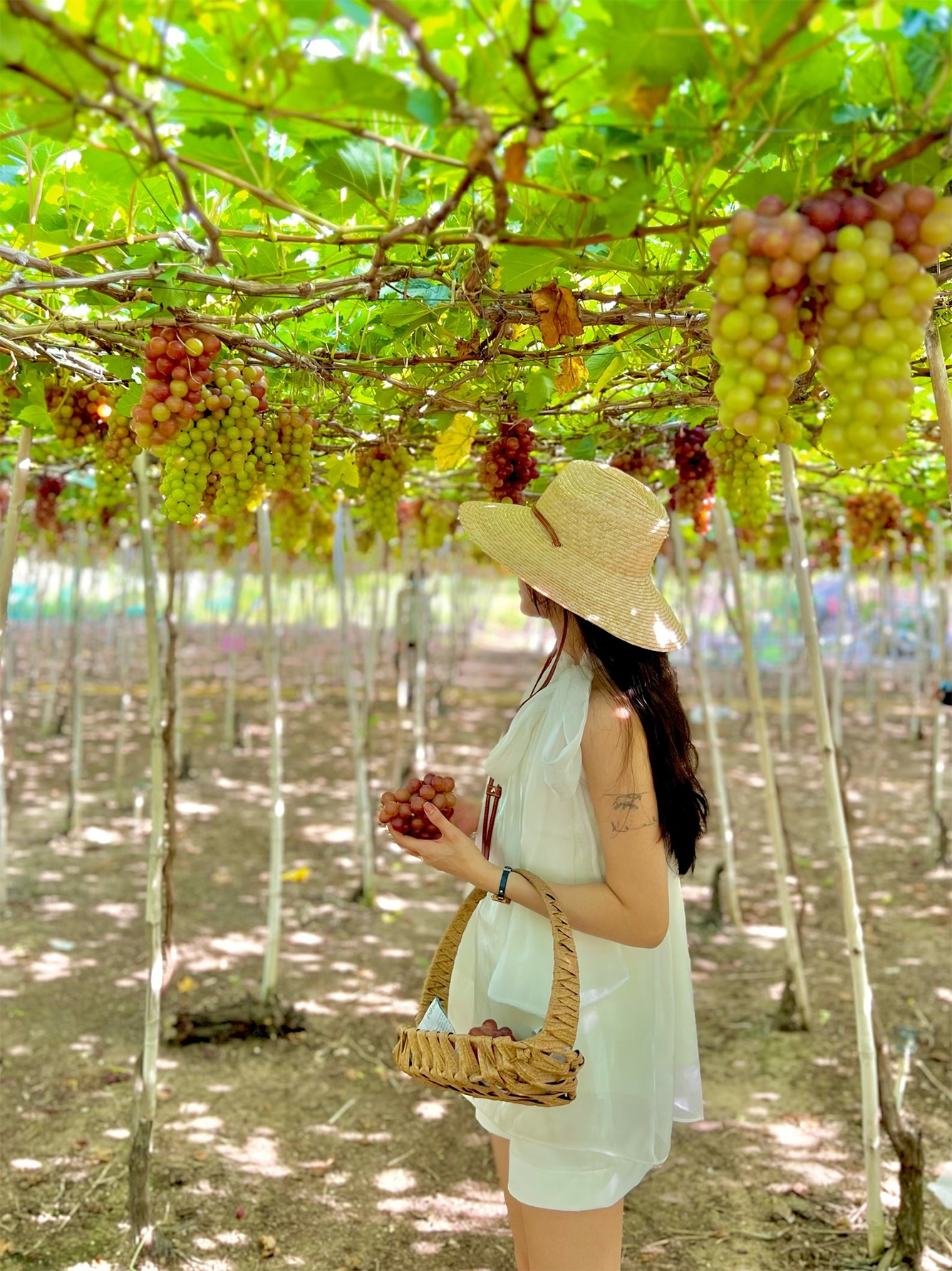 du lịch phan rang 3 ngày 2 đêm - Hình 5