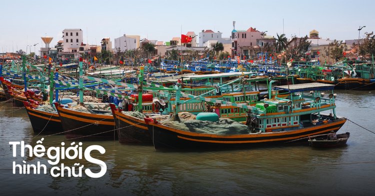 du lịch phan thiết 2 ngày 1 đêm tự túc - Hình 3