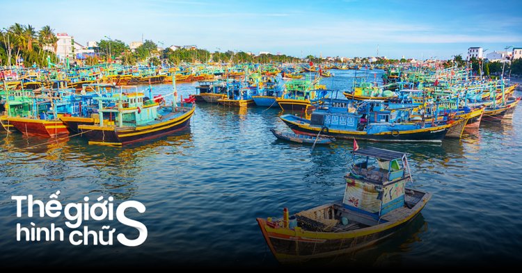 du lịch phan thiết tự túc - Hình 4